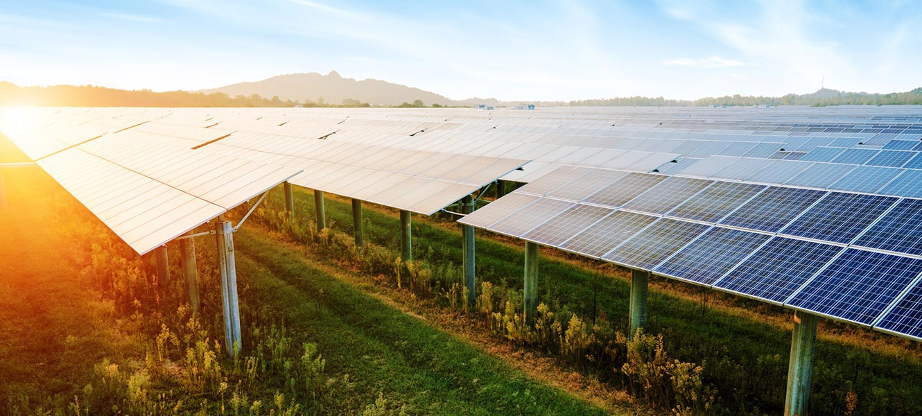 Solar panels in field