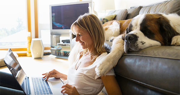 Woman in livingroom on her laptop with a dog on the couch.