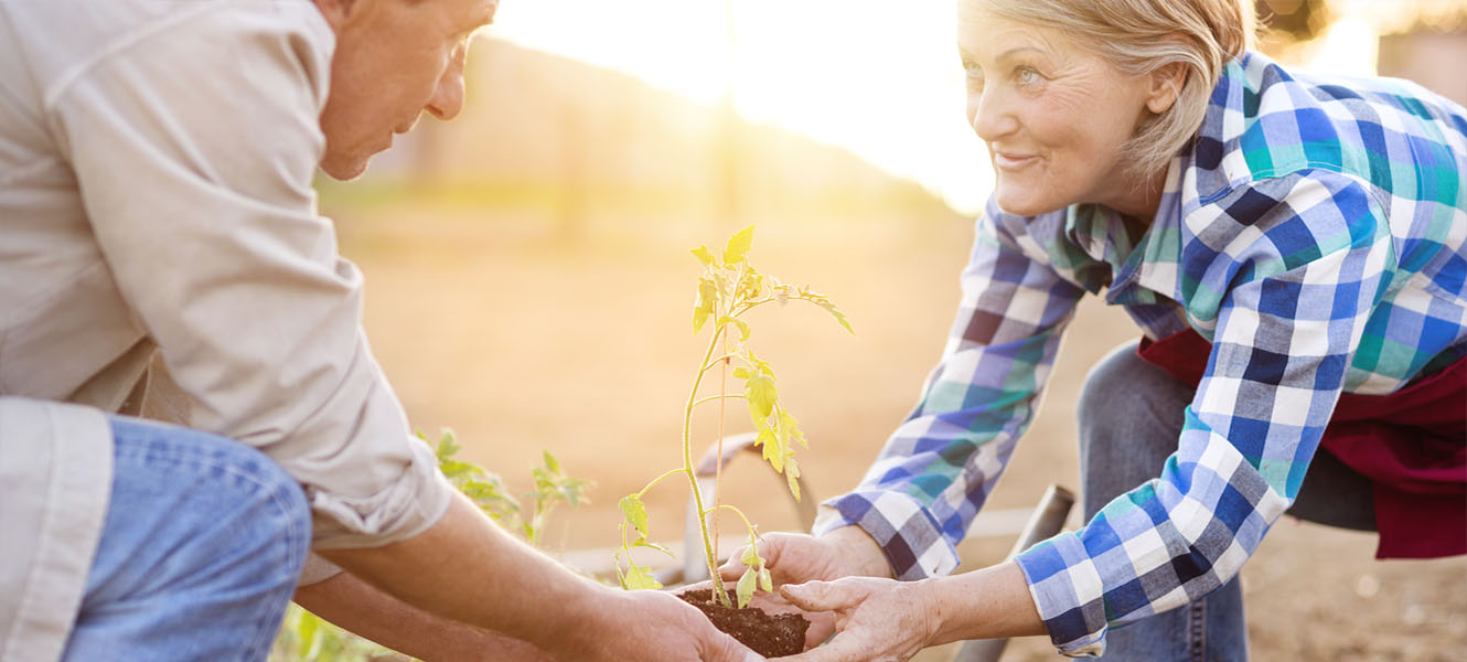 Man and woman holding a plant together.